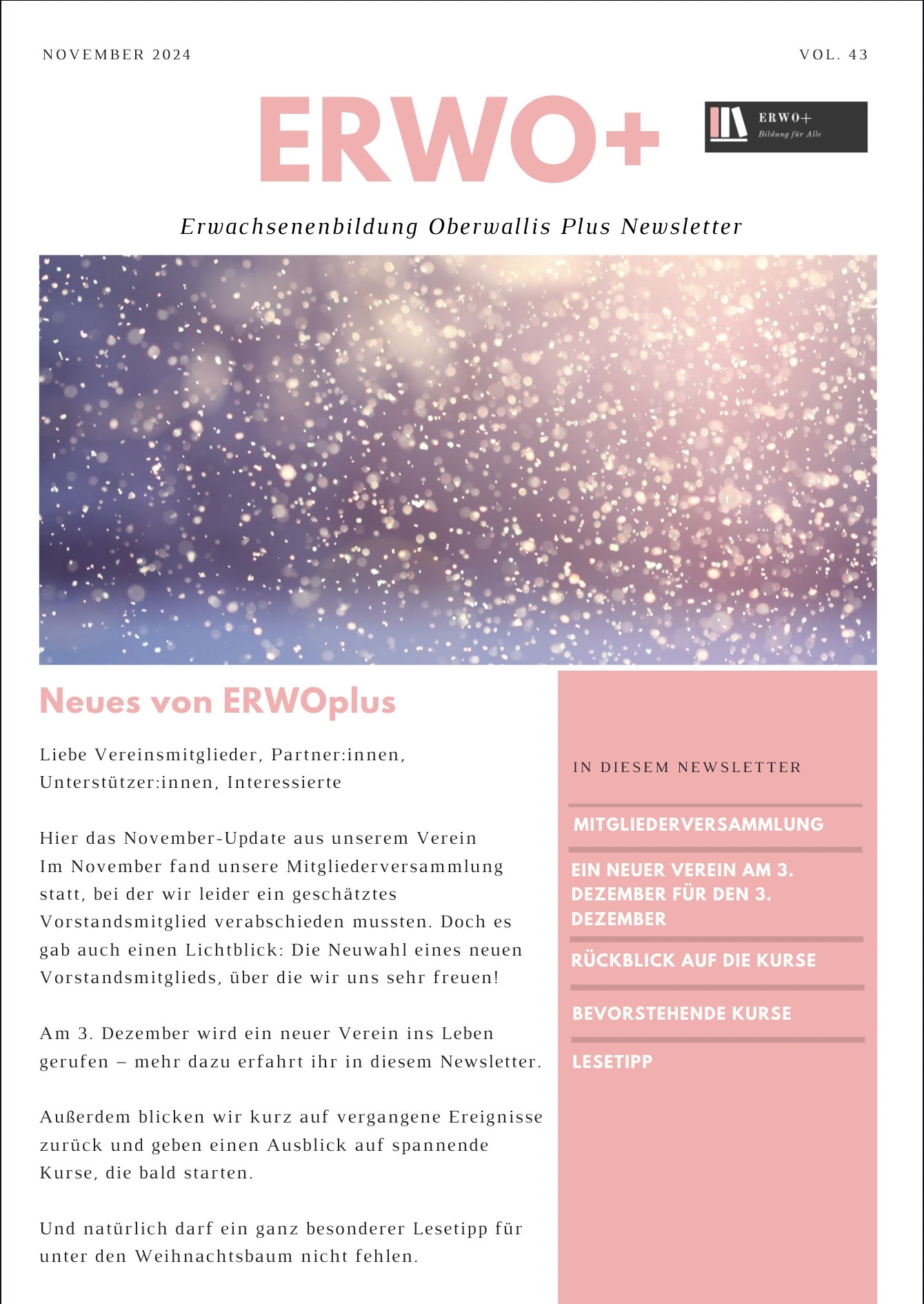 Coverbild des Newsletters November. Auf dem Bild sind Schneeflocken in schönem Licht zu sehen. Man sieht das Editorial. Der Link führt direkt zum PDF des Newsletters